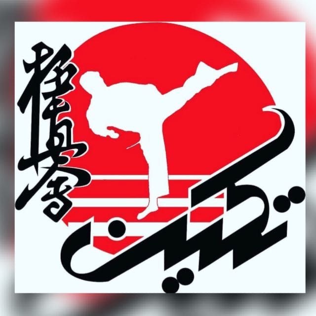 Kyokushin تکین