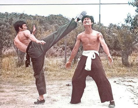 جستجو در سایت کیوکوشین