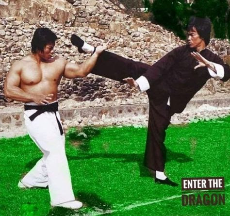 جستجو در سایت کیوکوشین