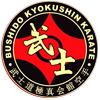 Bushido Kyokushin Karate